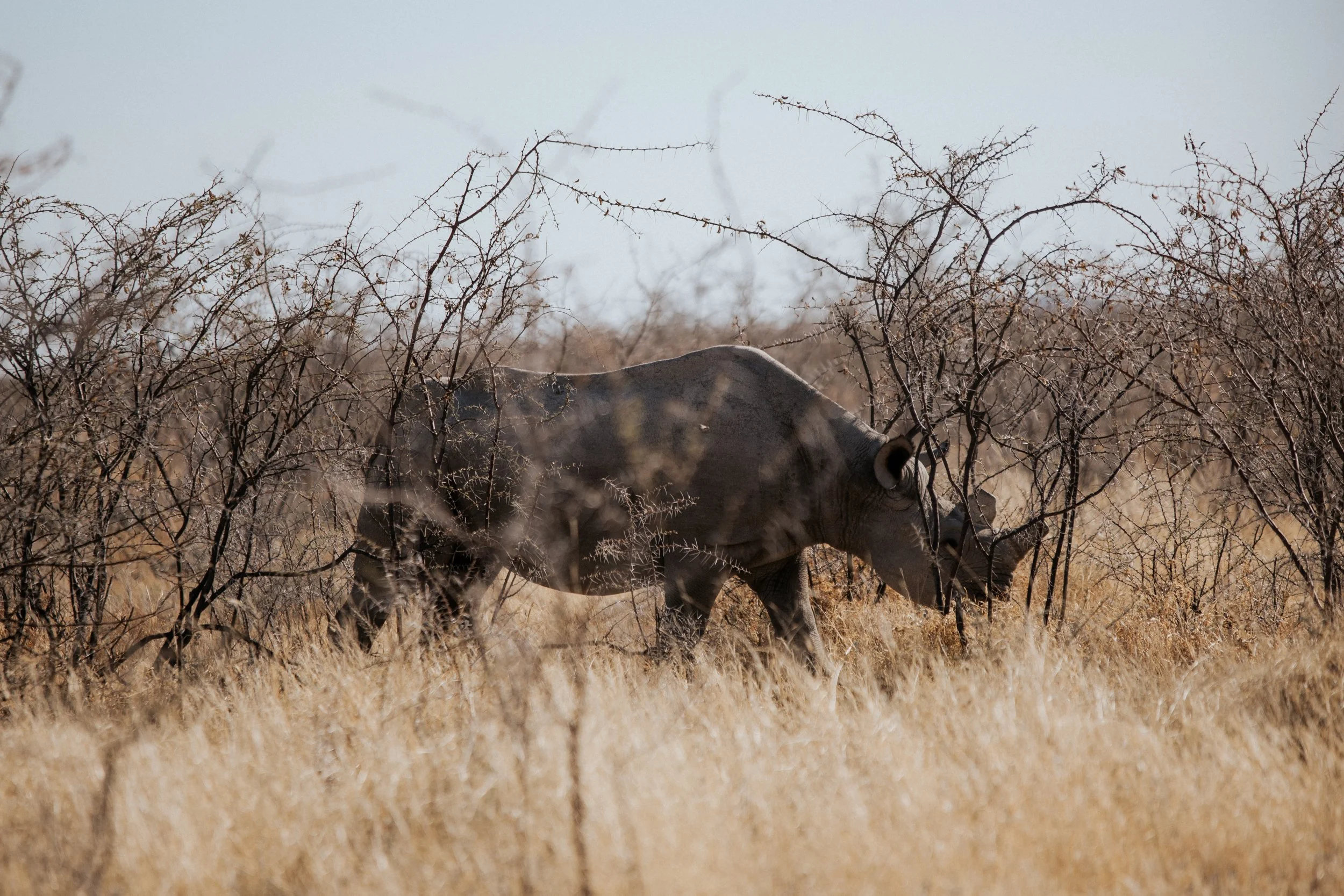 Blog_Namibia (366 von 674).jpg
