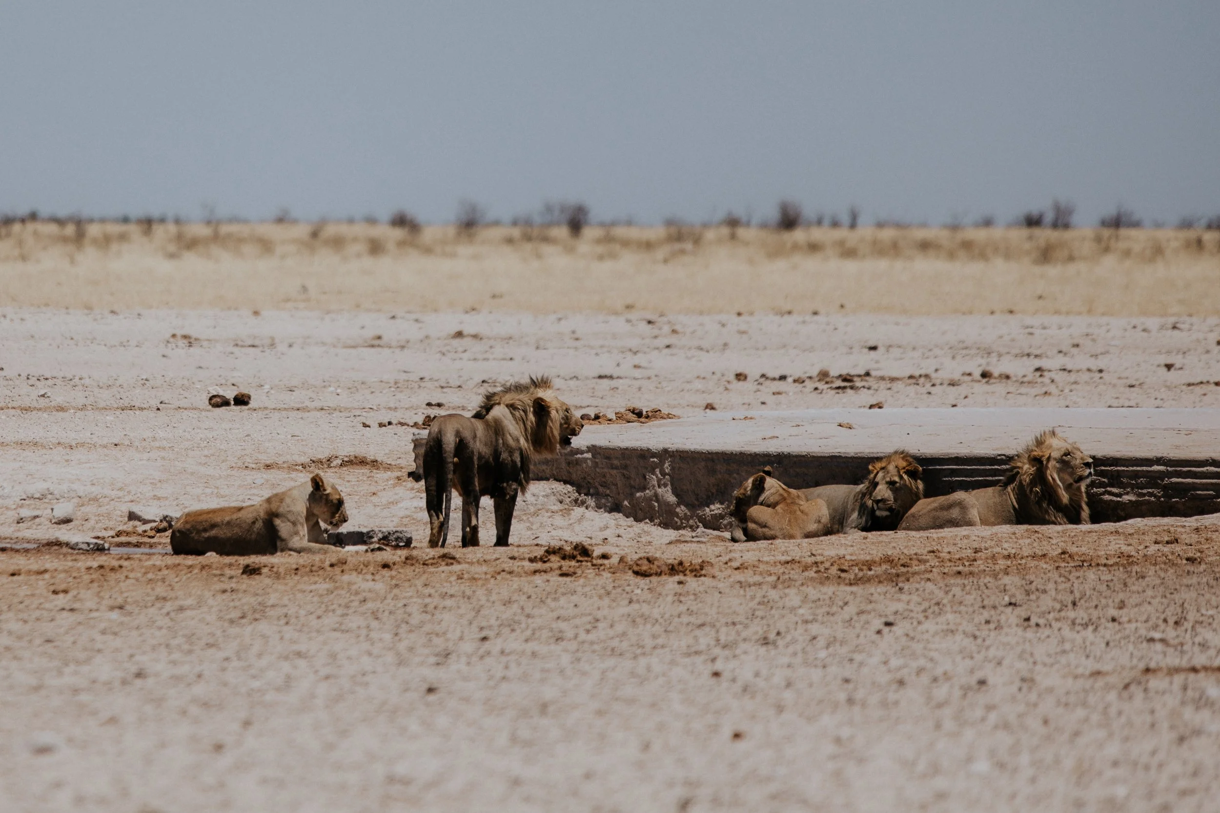 Blog_Namibia (410 von 674).jpg