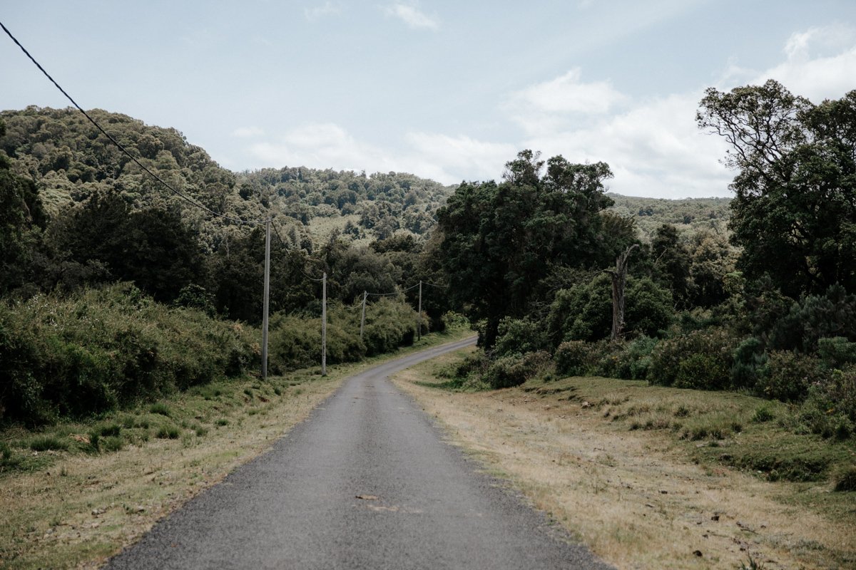 Mount Kenya Trekking_ (10 von 162).jpg