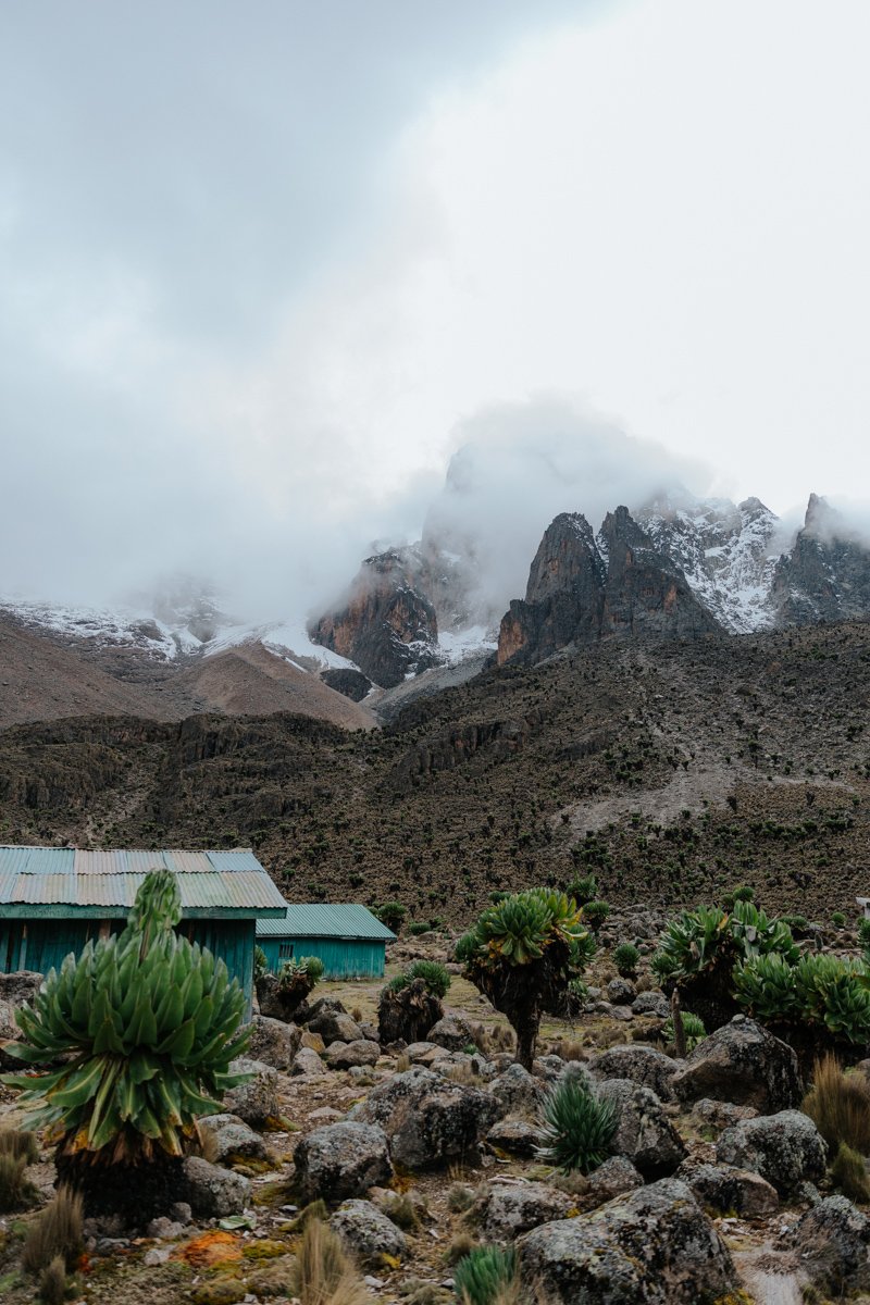 Mount Kenya Trekking (4 von 19).jpg
