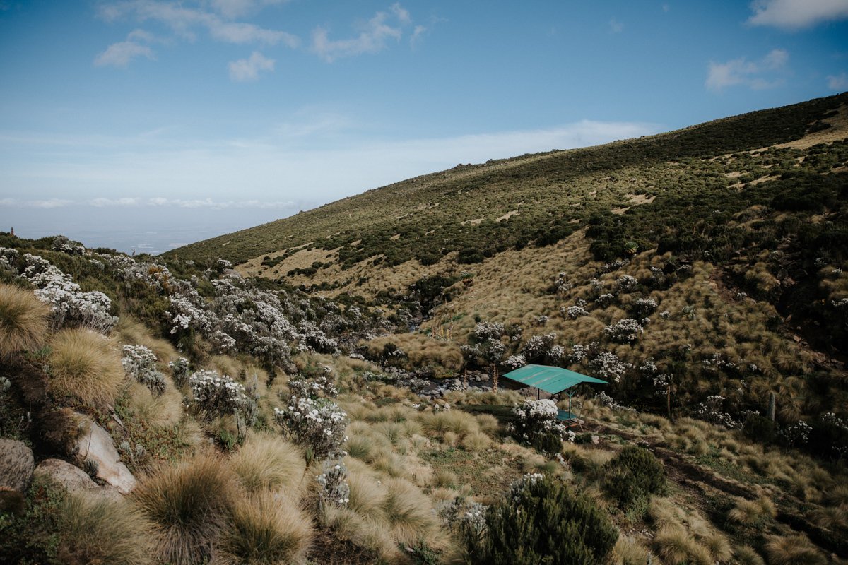 Mount Kenya Trekking_ (36 von 162).jpg