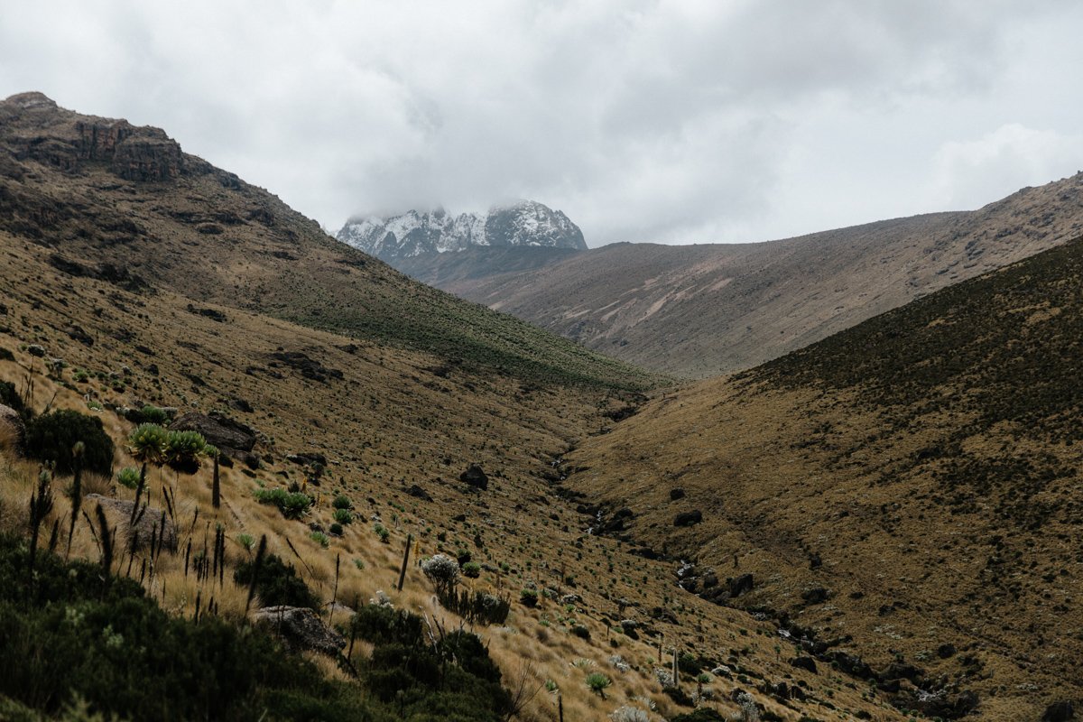 Mount Kenya Trekking_ (50 von 162).jpg