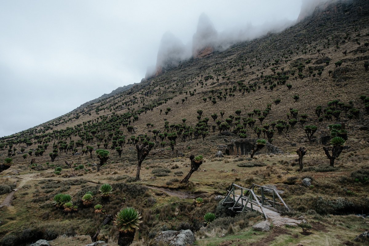 Mount Kenya Trekking_ (68 von 162).jpg