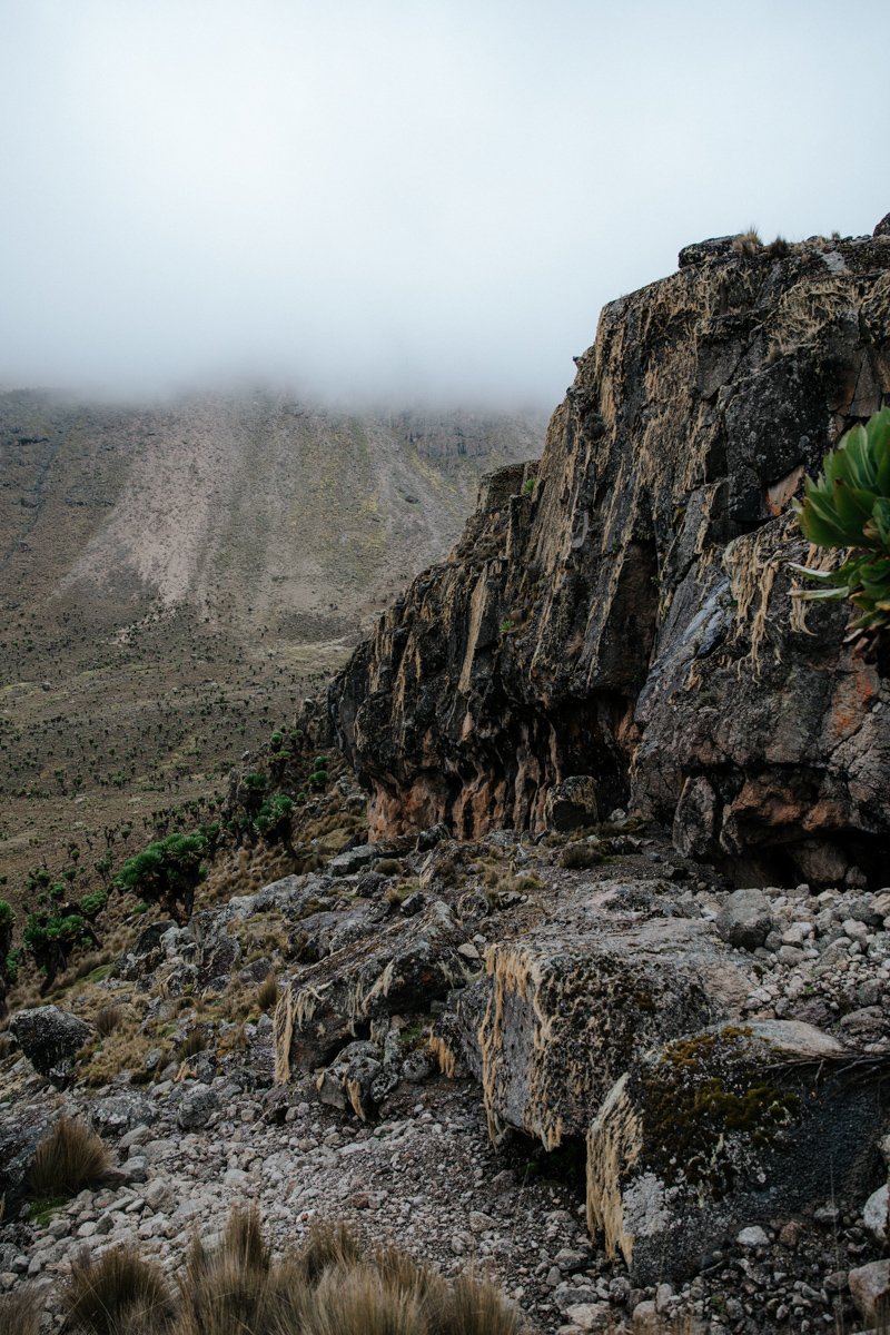 Mount Kenya Trekking_ (71 von 162).jpg