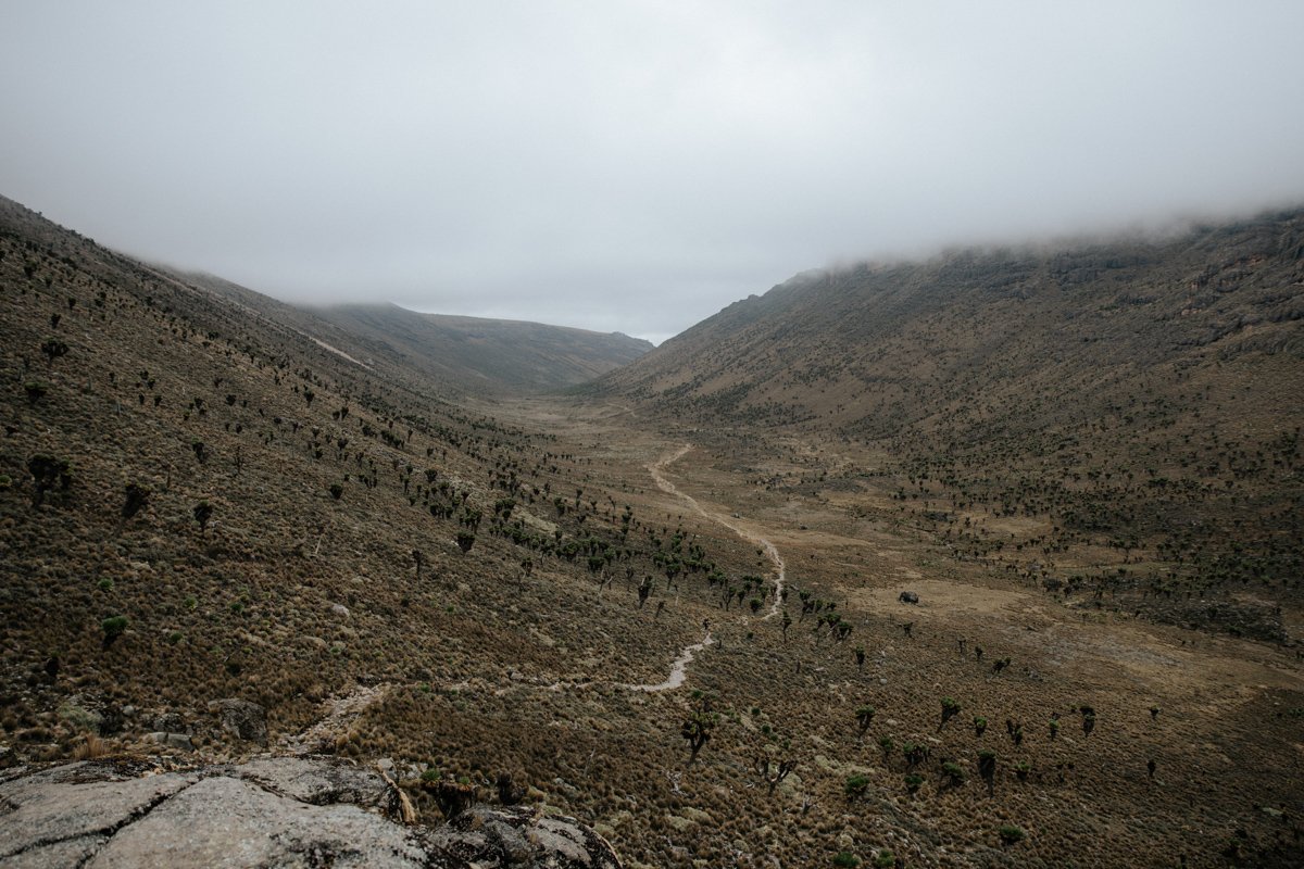 Mount Kenya Trekking_ (72 von 162).jpg