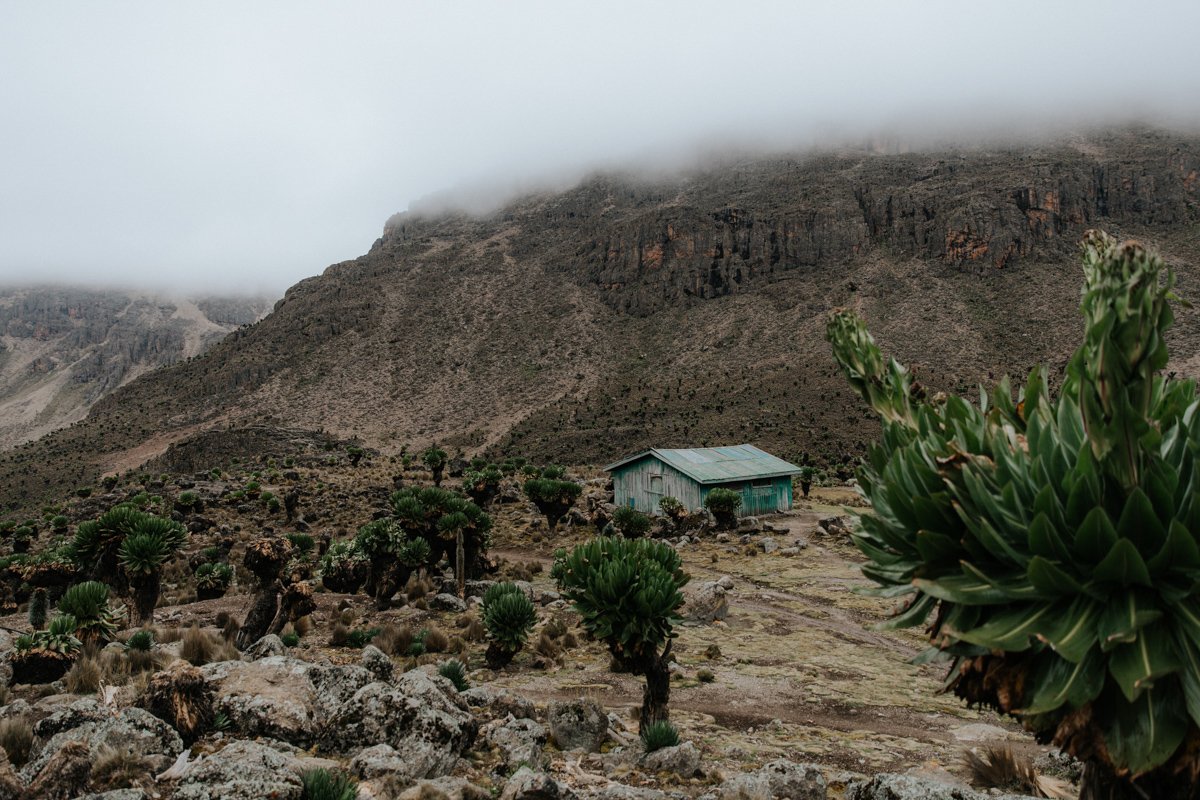 Mount Kenya Trekking_ (75 von 162).jpg