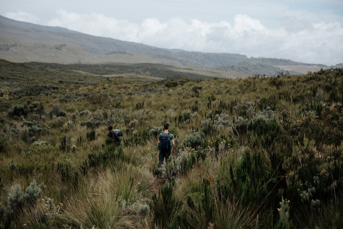 Mount Kenya Trekking_ (114 von 162).jpg