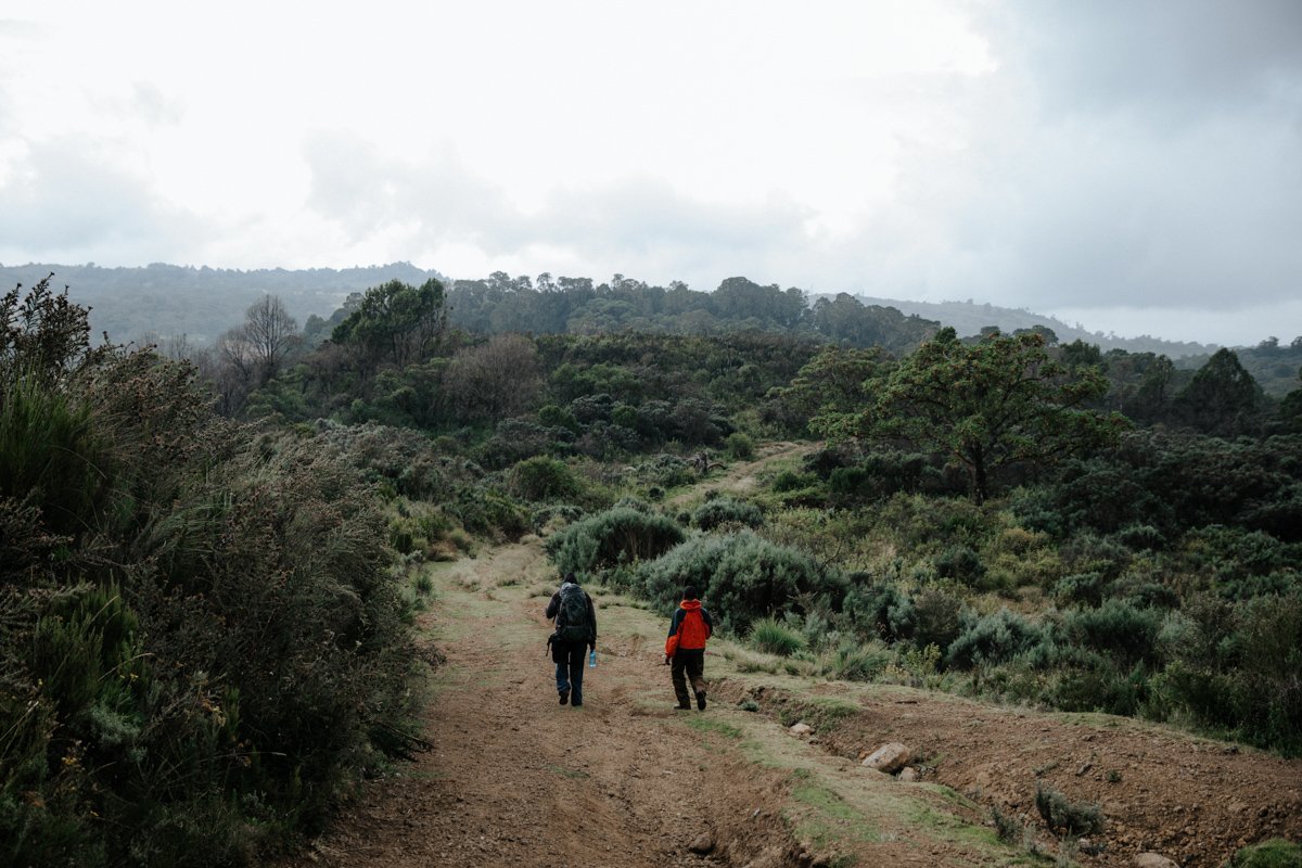 Mount Kenya Trekking_ (115 von 162).jpg