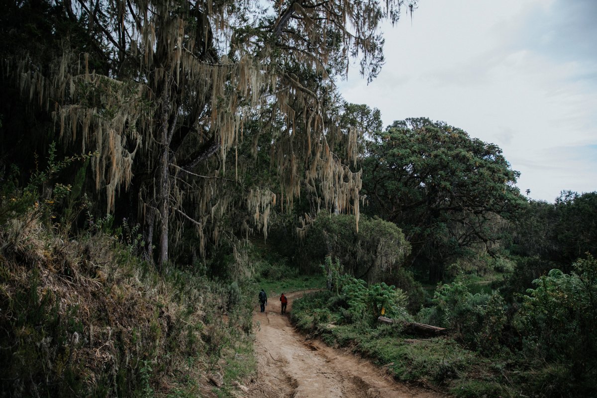 Mount Kenya Trekking_ (117 von 162).jpg