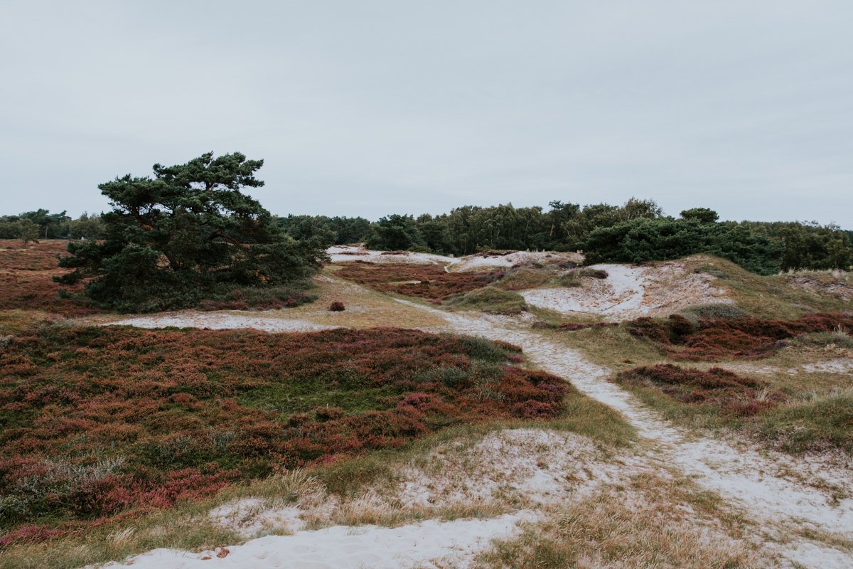 Tagesausflug nach Hiddensee (3 von 36).jpg