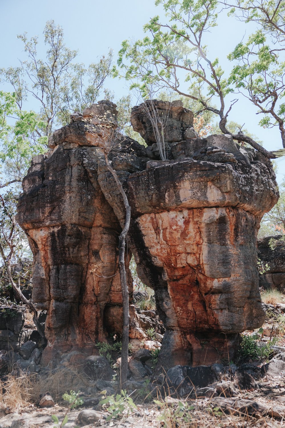 Darwin to Perth Roadtrip - Northern Territory (27 von 122).jpg