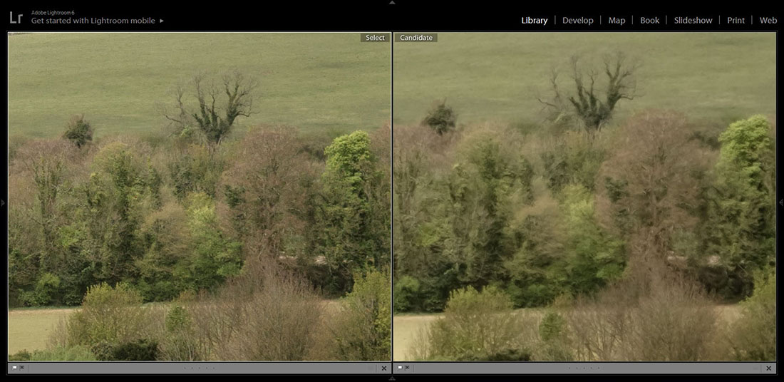 Sony a6300 on the left, vs Fuji XT20 Distant Foliage