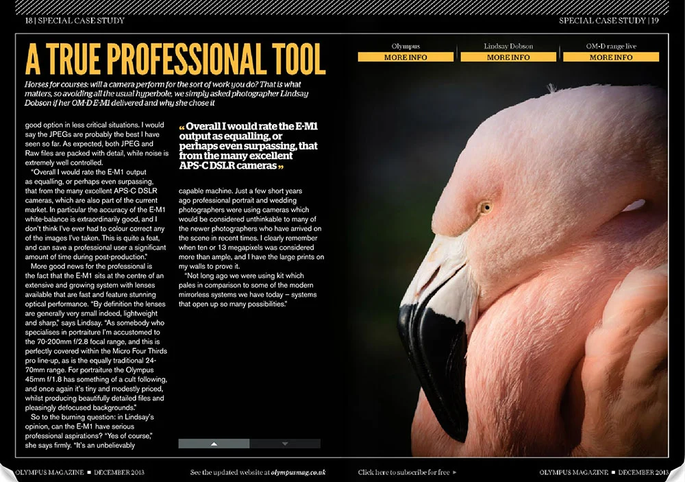 Lindsay Dobson Featured in Olympus Magazine Wildlife Photography