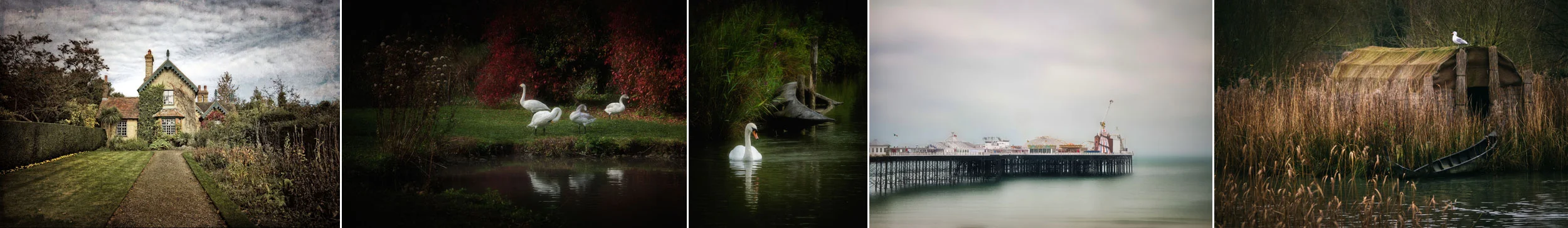 award winning pictorial and landscape photography west sussex