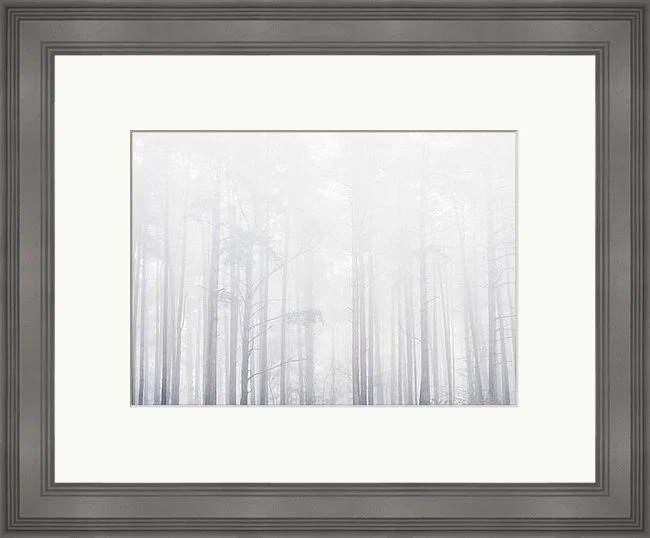 misty_trees_monochrome.jpeg