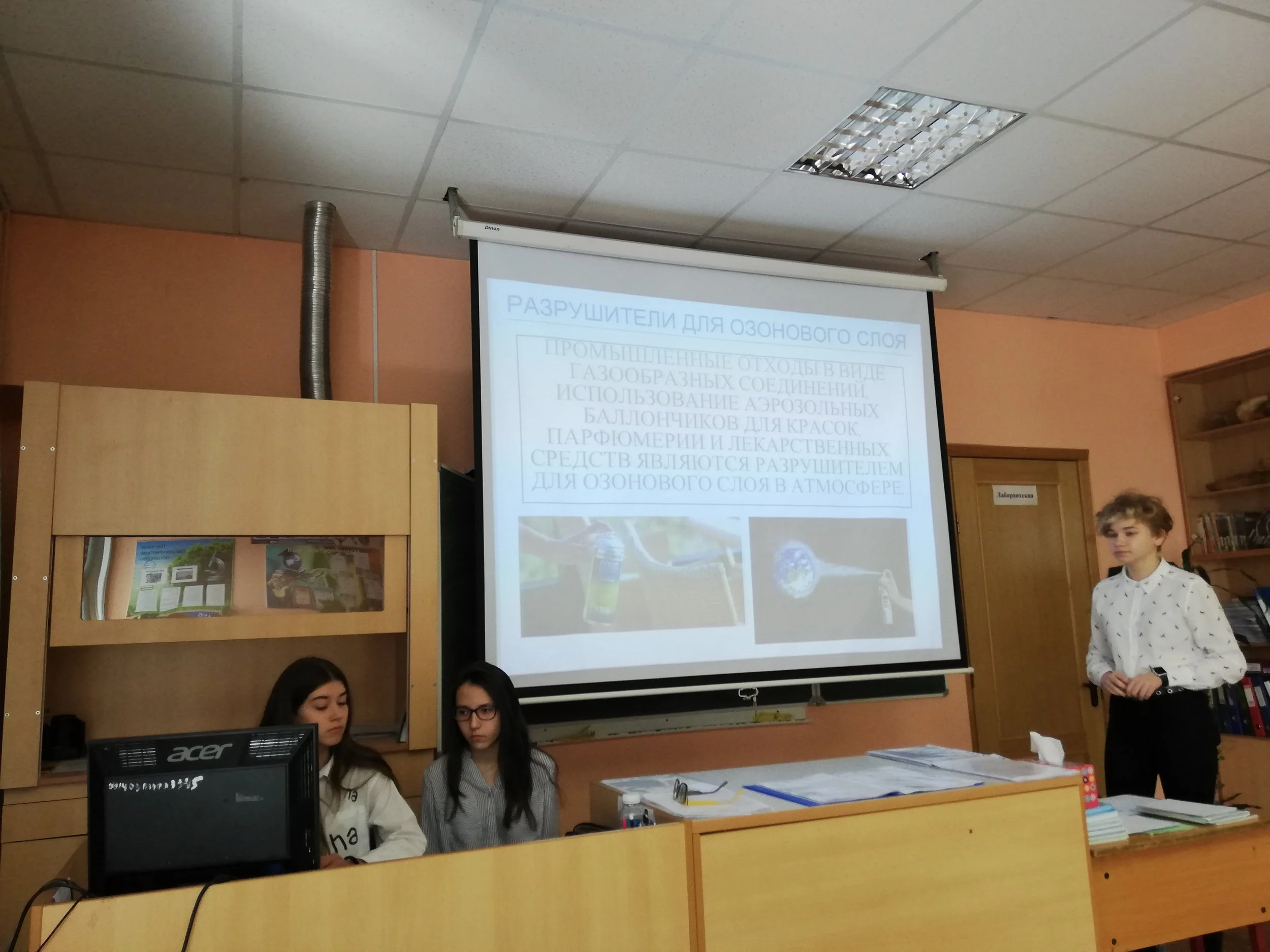 Bereginya - Human impact on Environment.jpg