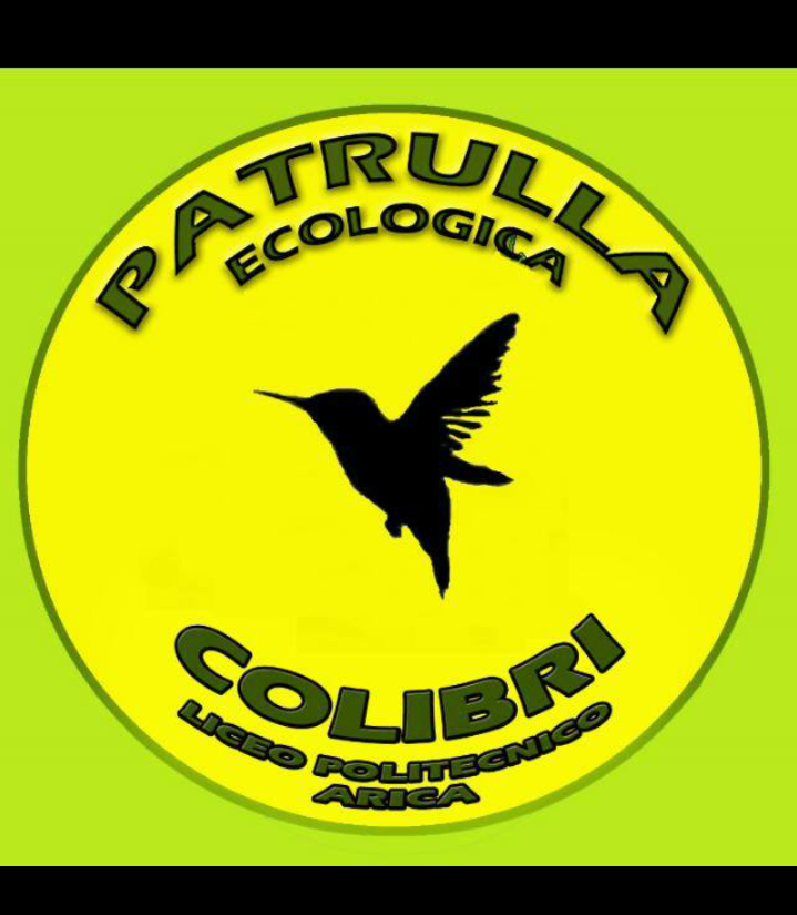 Licea Artistico - Colibri Patrol1.png