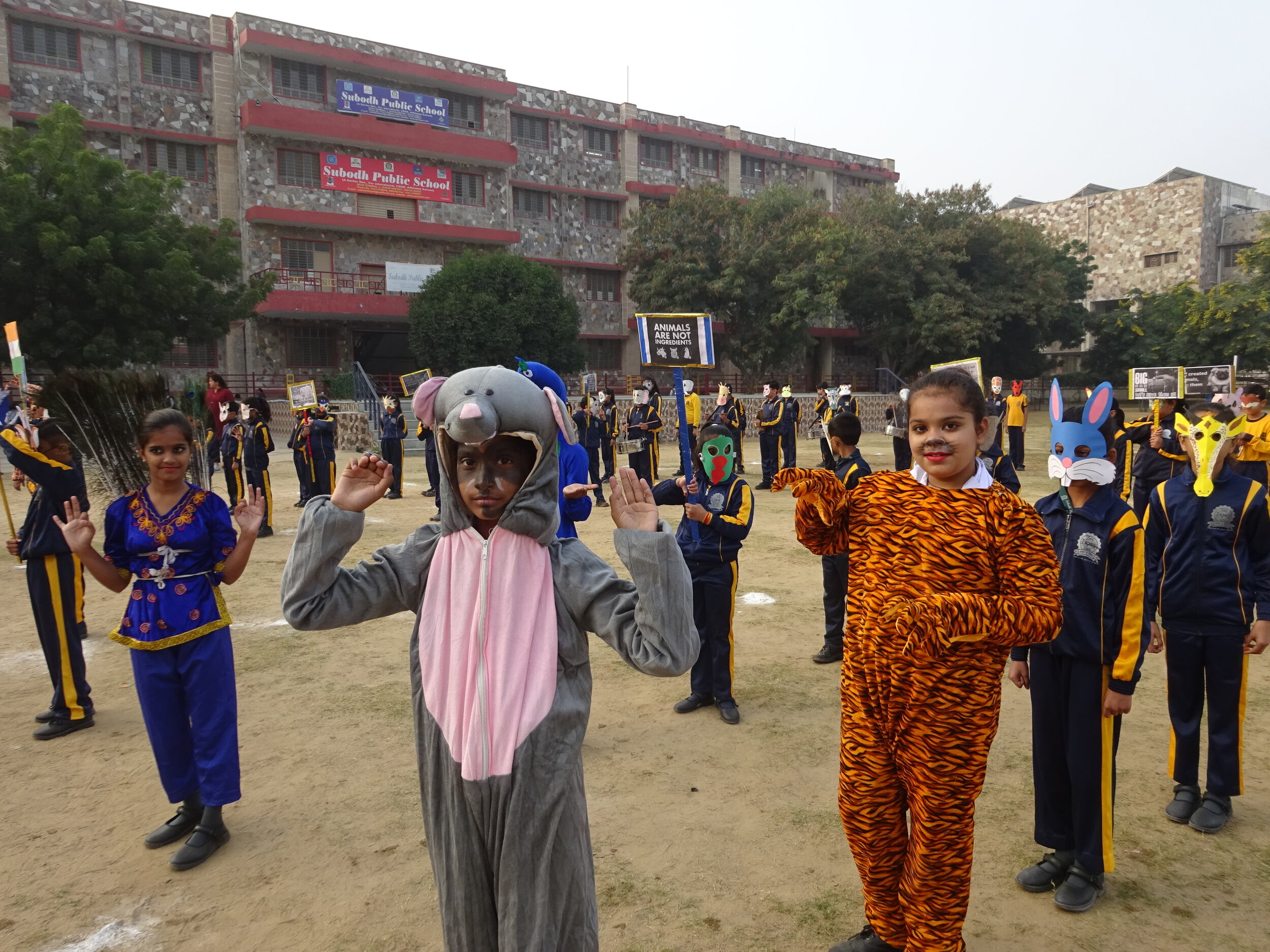 Subodh Public School​ - Animals 1.JPG