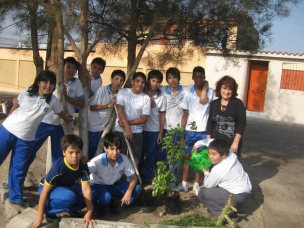 Escuela D-4 - Planting trees 1.jpg