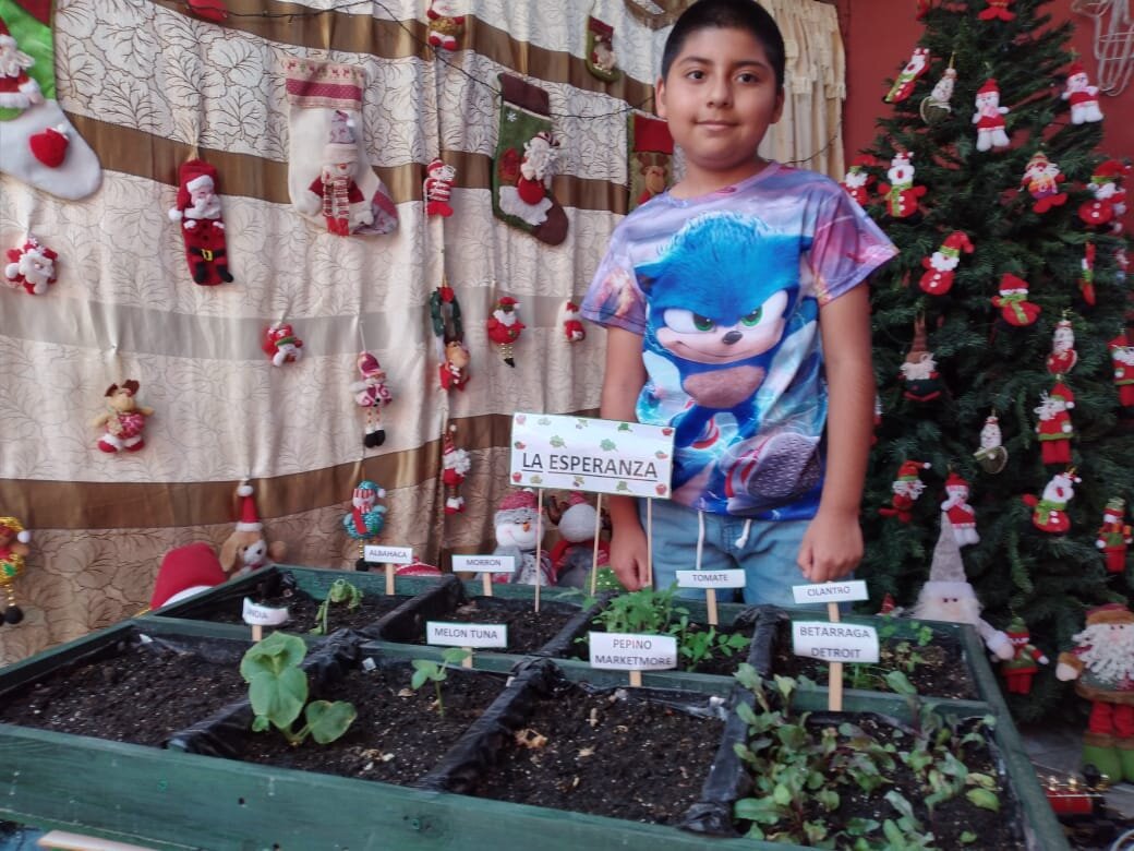 Escuela D-4 Arica - Home Gardening.jpeg
