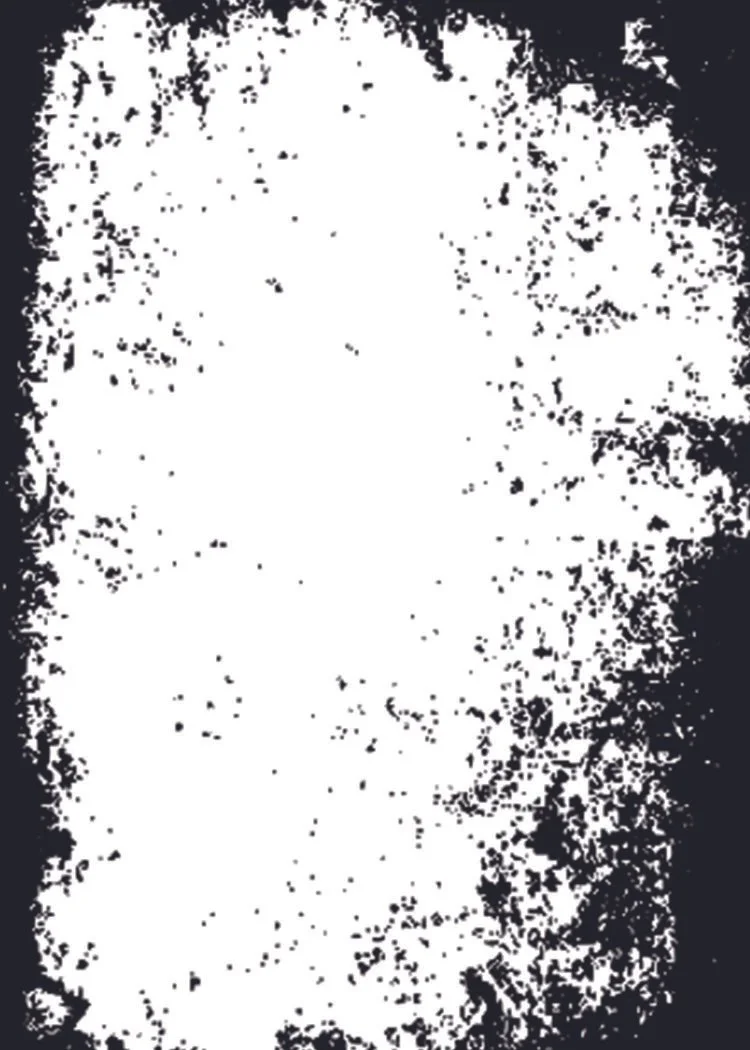 token+back.jpg