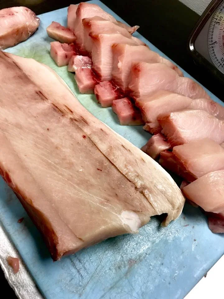 Atlantic Swordfish