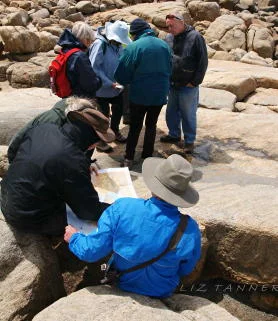 Participants in the Geology in Action field day learn about mapping features with Geological Survey of WA researcher Dr Catherine Spaggiari (centre, green jacket)