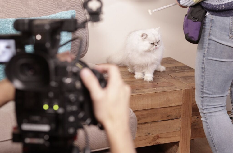 Copy of Ace on set