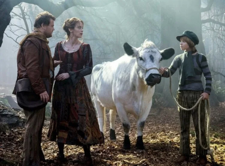 Copy of Tug the cow in Into the woods