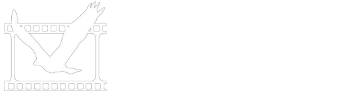 Birds & Animals