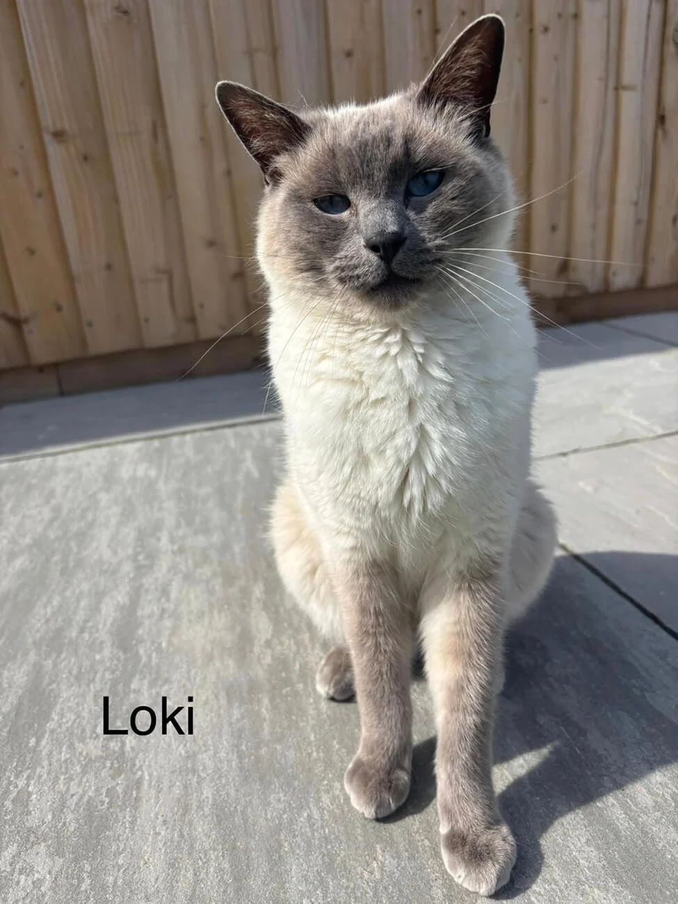 L O K I