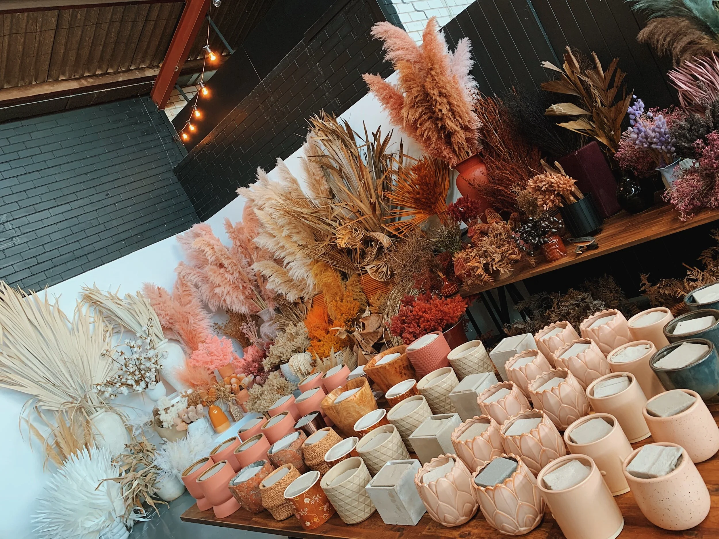 8503E86D-62D7-46B8-B195-DCC2A3E206C6