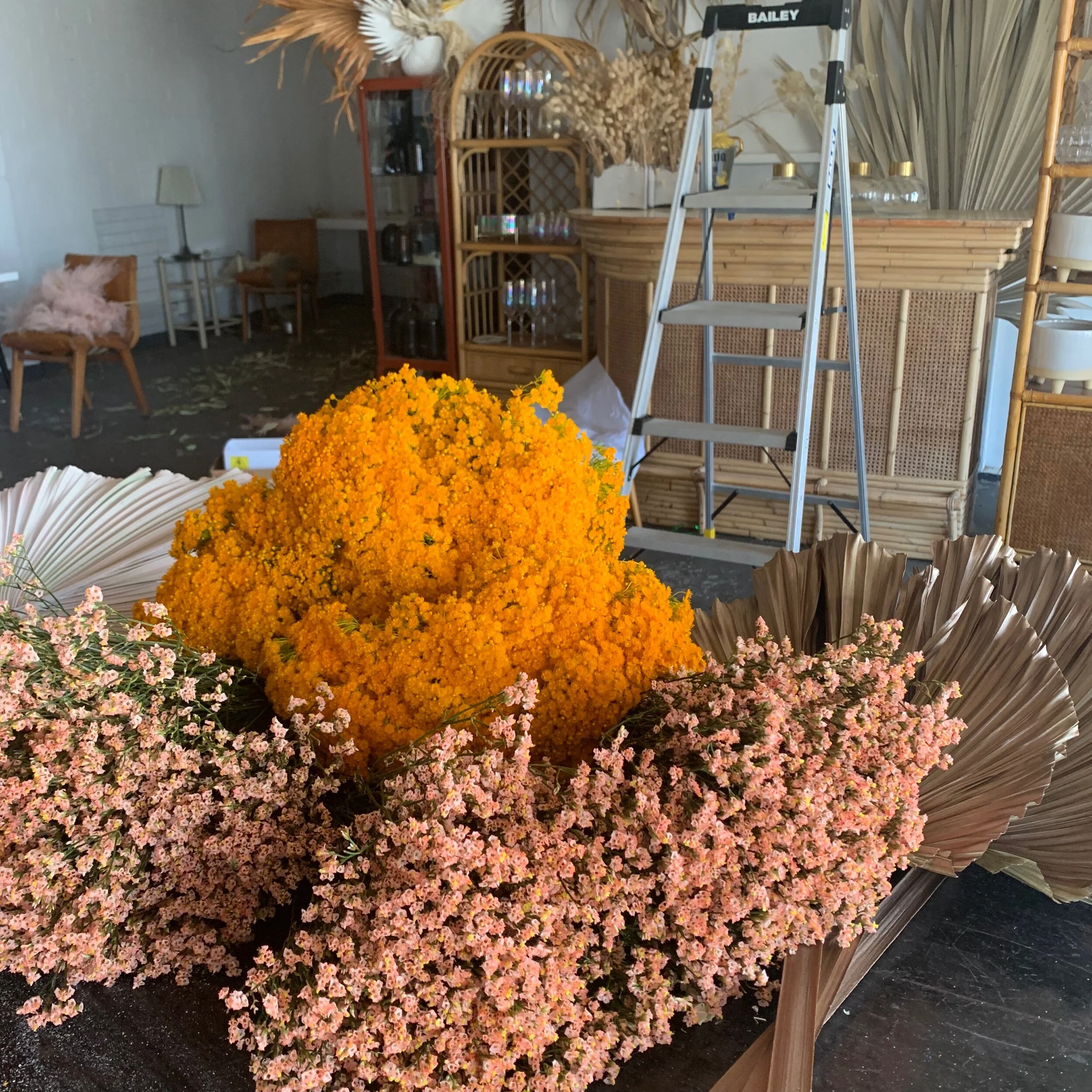 CDDAA727-DD3F-46F6-9AE8-95A5563C6158