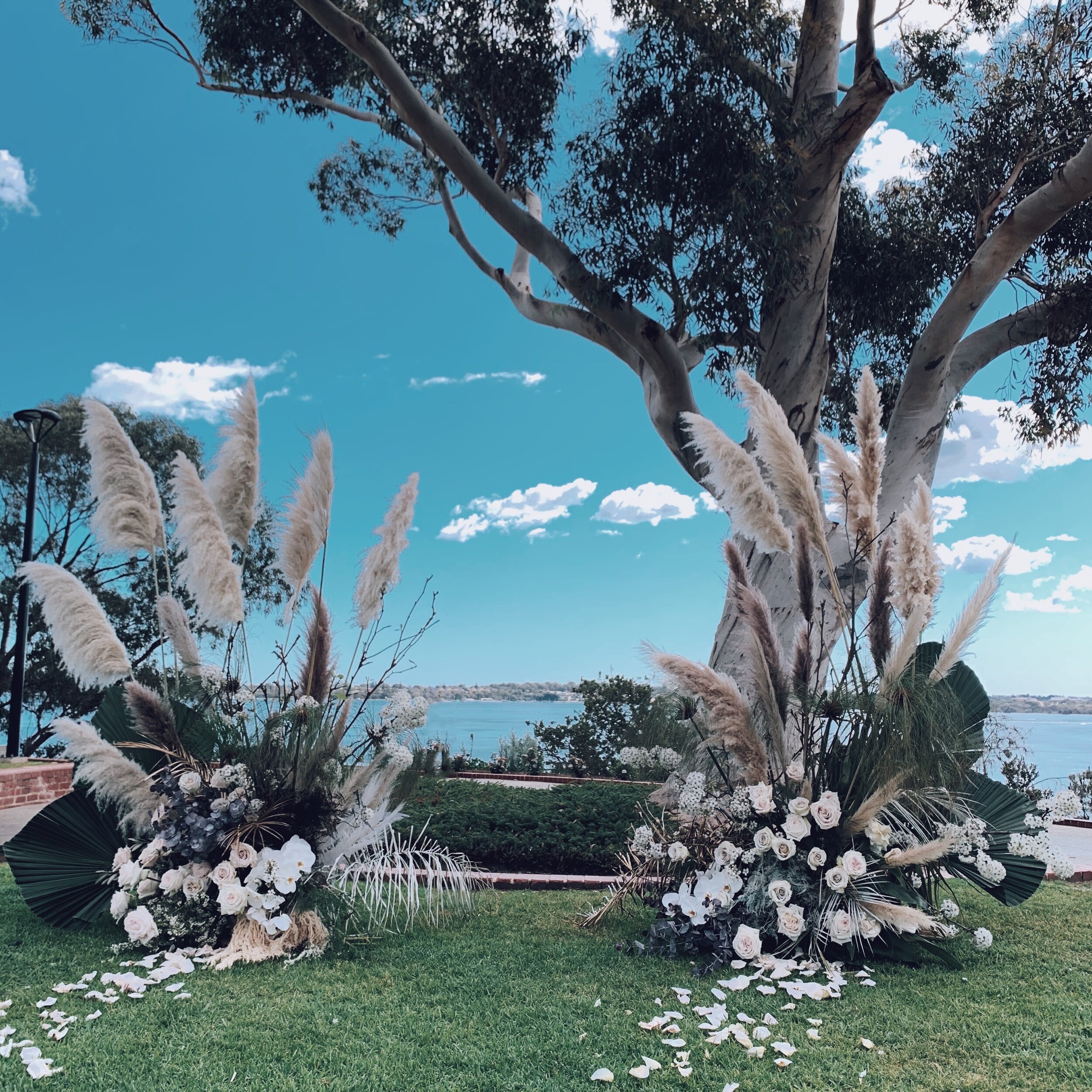 0B0ECA6B-4979-4897-A96C-46DD1A33618A