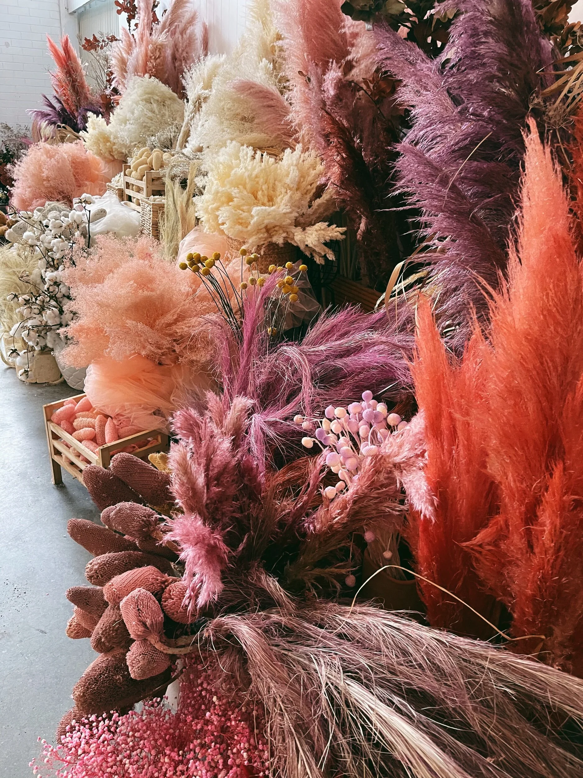 3F826AB1-A8C6-48B2-AC80-12848BF20367