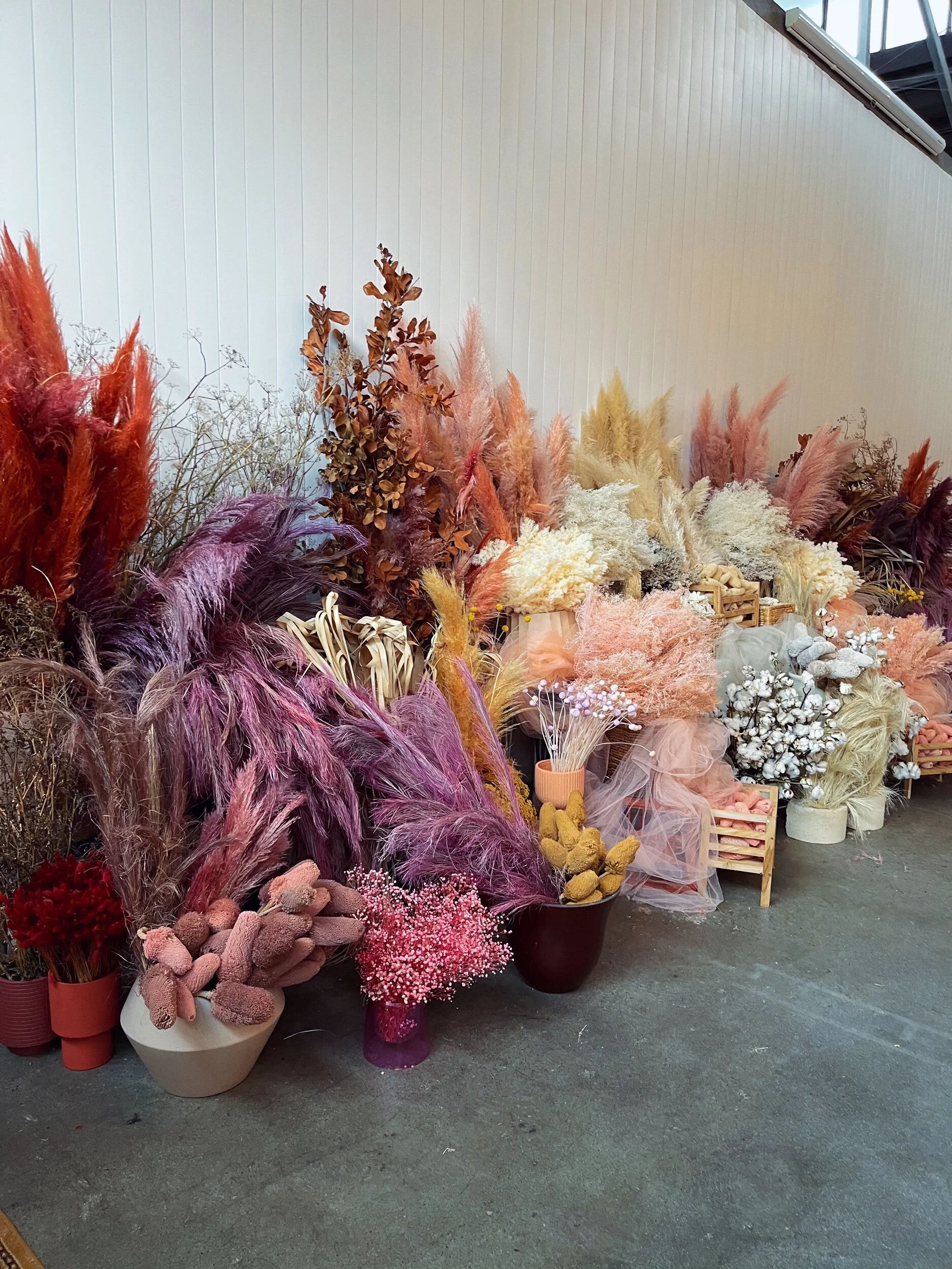 B4BE47DE-2ED4-4D10-B075-AA7FA66FBEEE