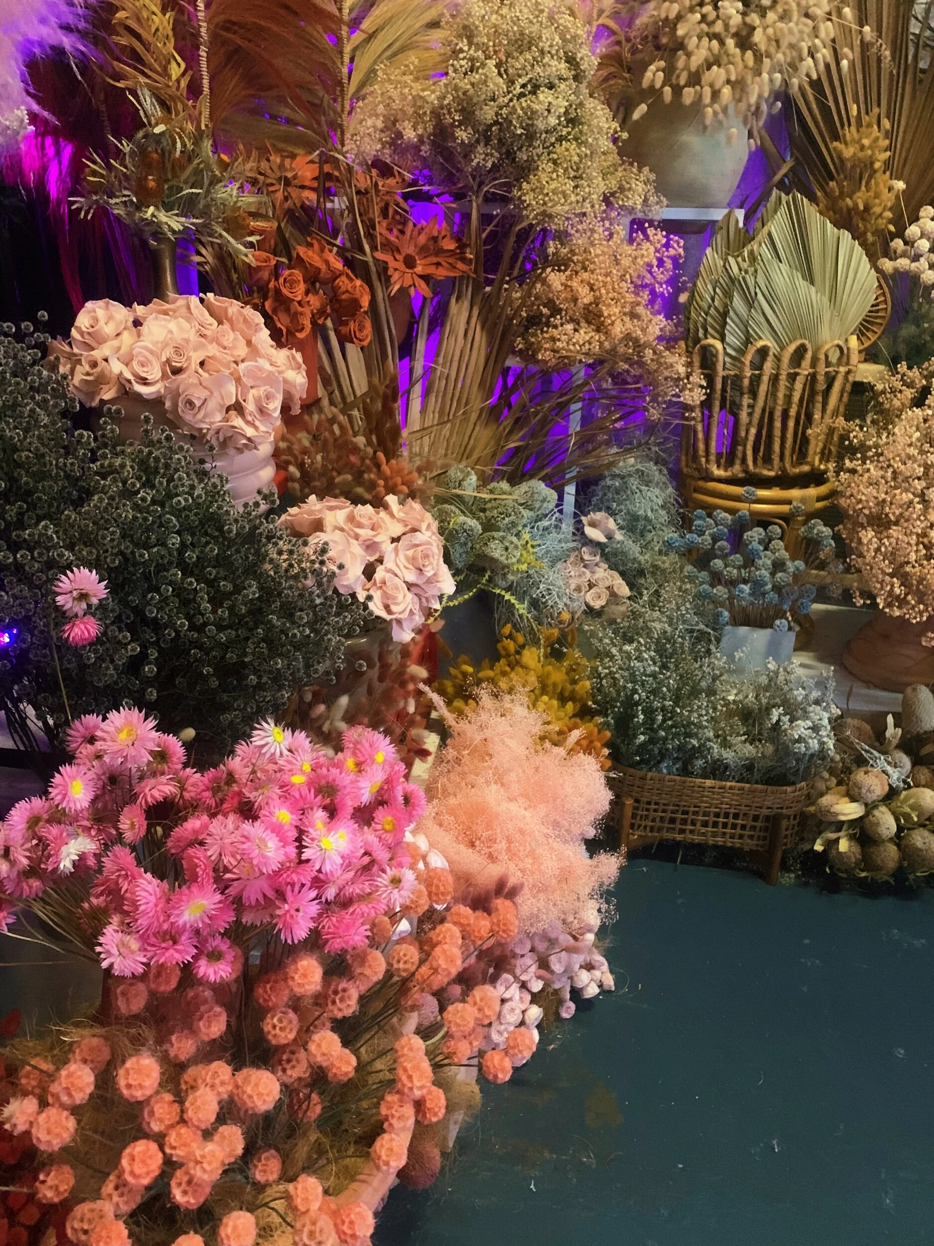 A34C9798-77EC-48A8-A84B-F19F02FFE476