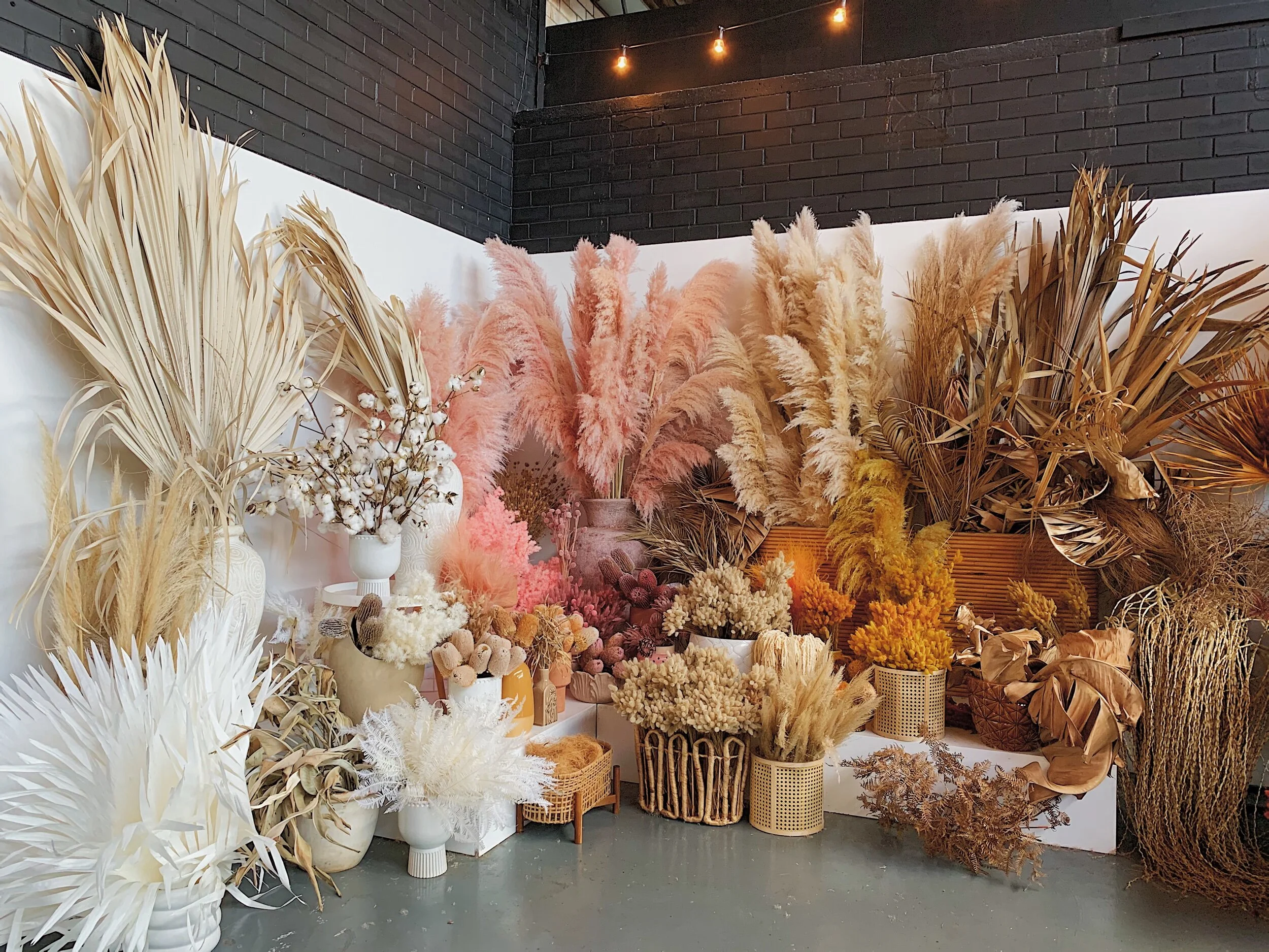 8B119F52-82A2-4AFA-812E-3180FDFEB2D1