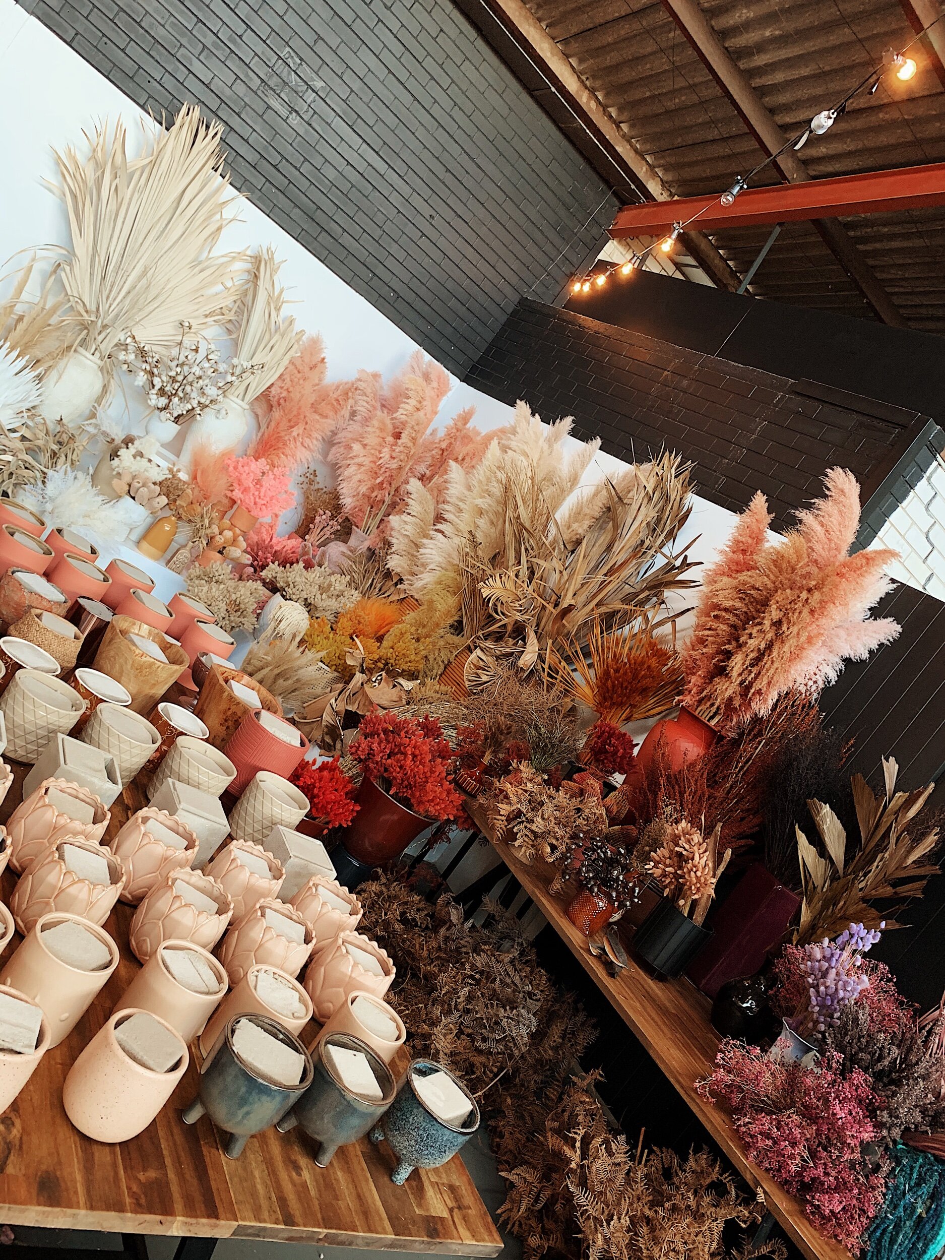 5E55D53A-AA61-40CB-90F5-6A853055414B