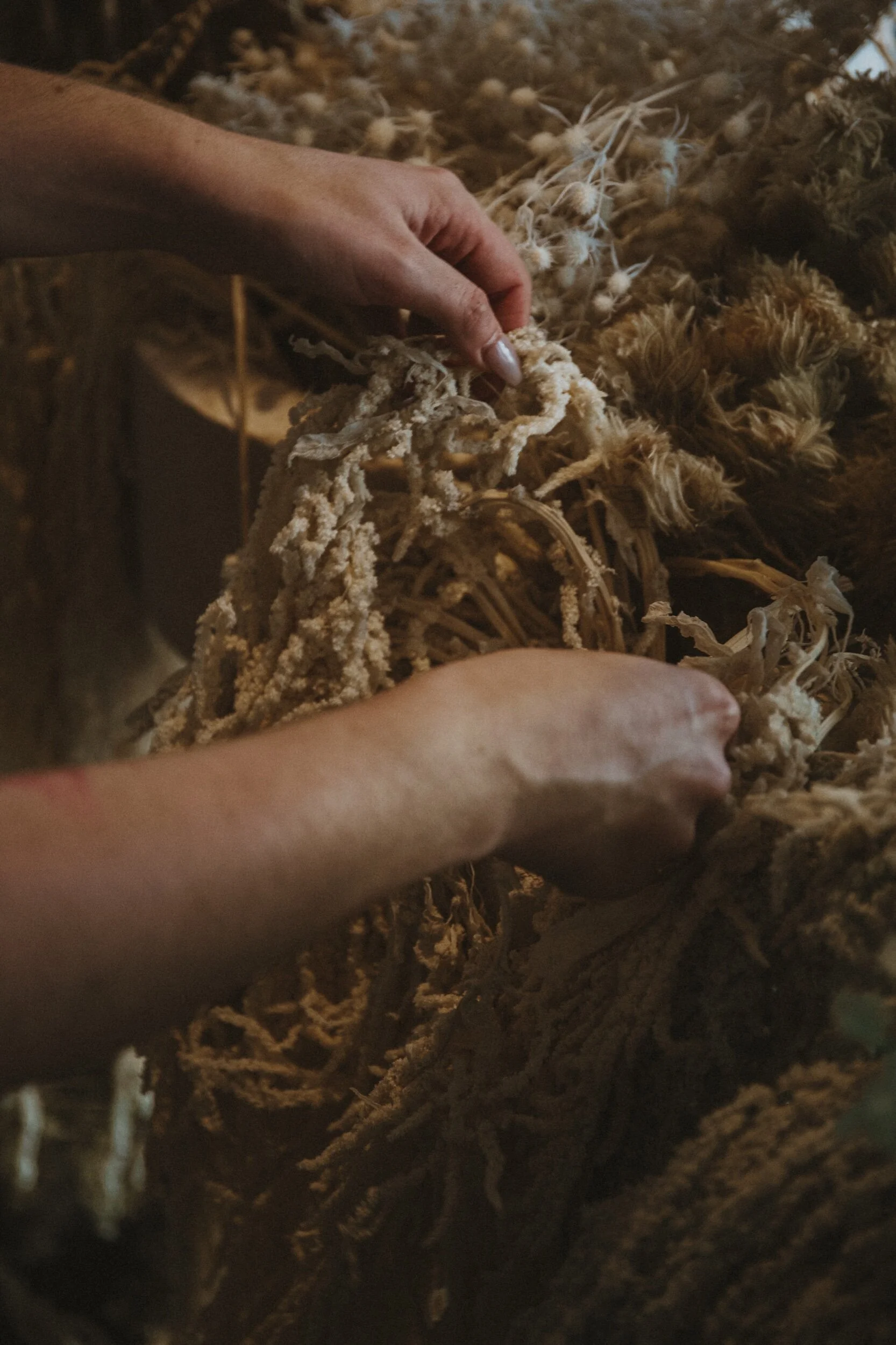 8FDA98BF-0053-4900-940F-5B06CC80D1A7