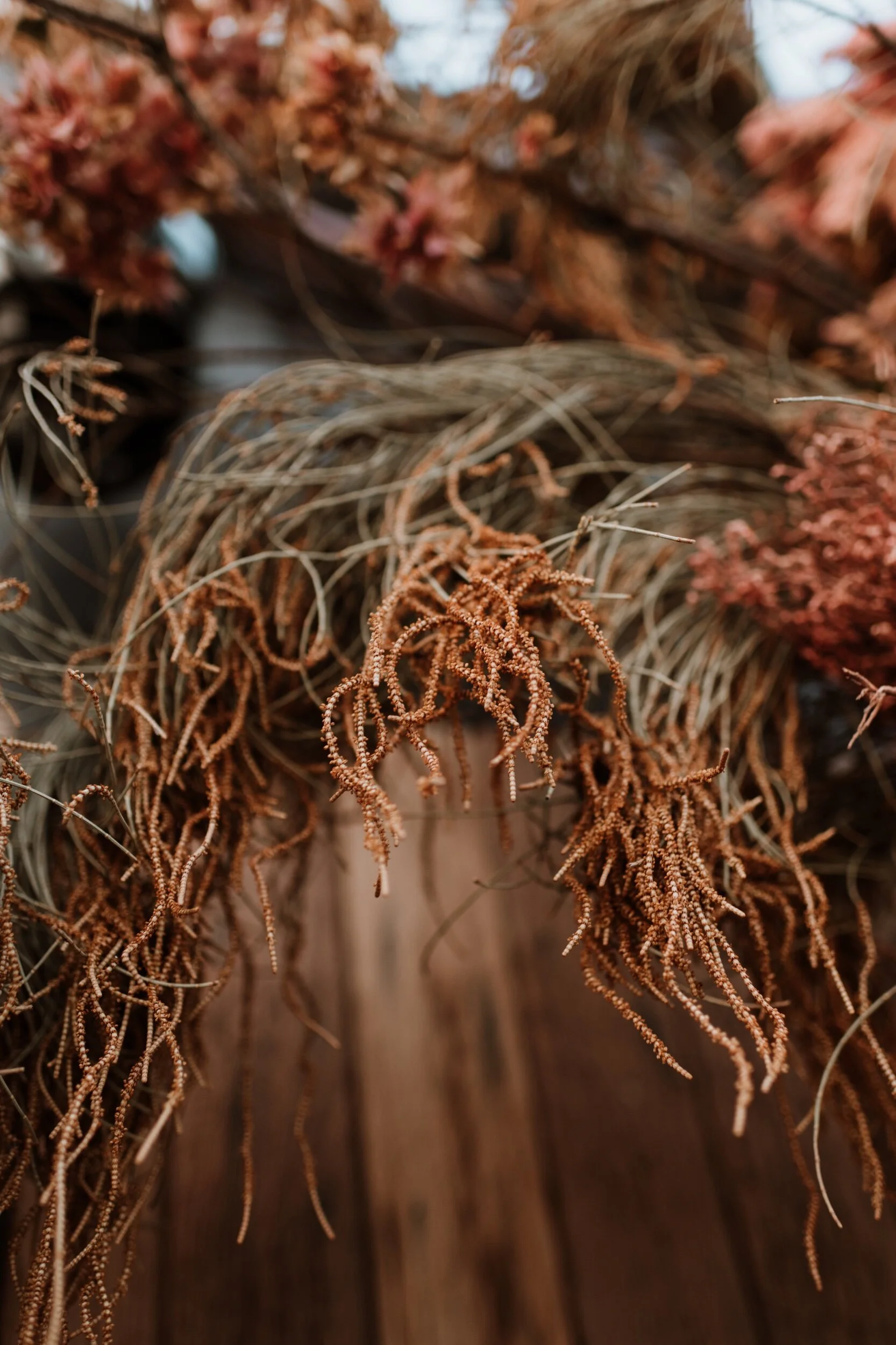 91C64BBD-5670-445C-B1F7-7CC06151BBD8