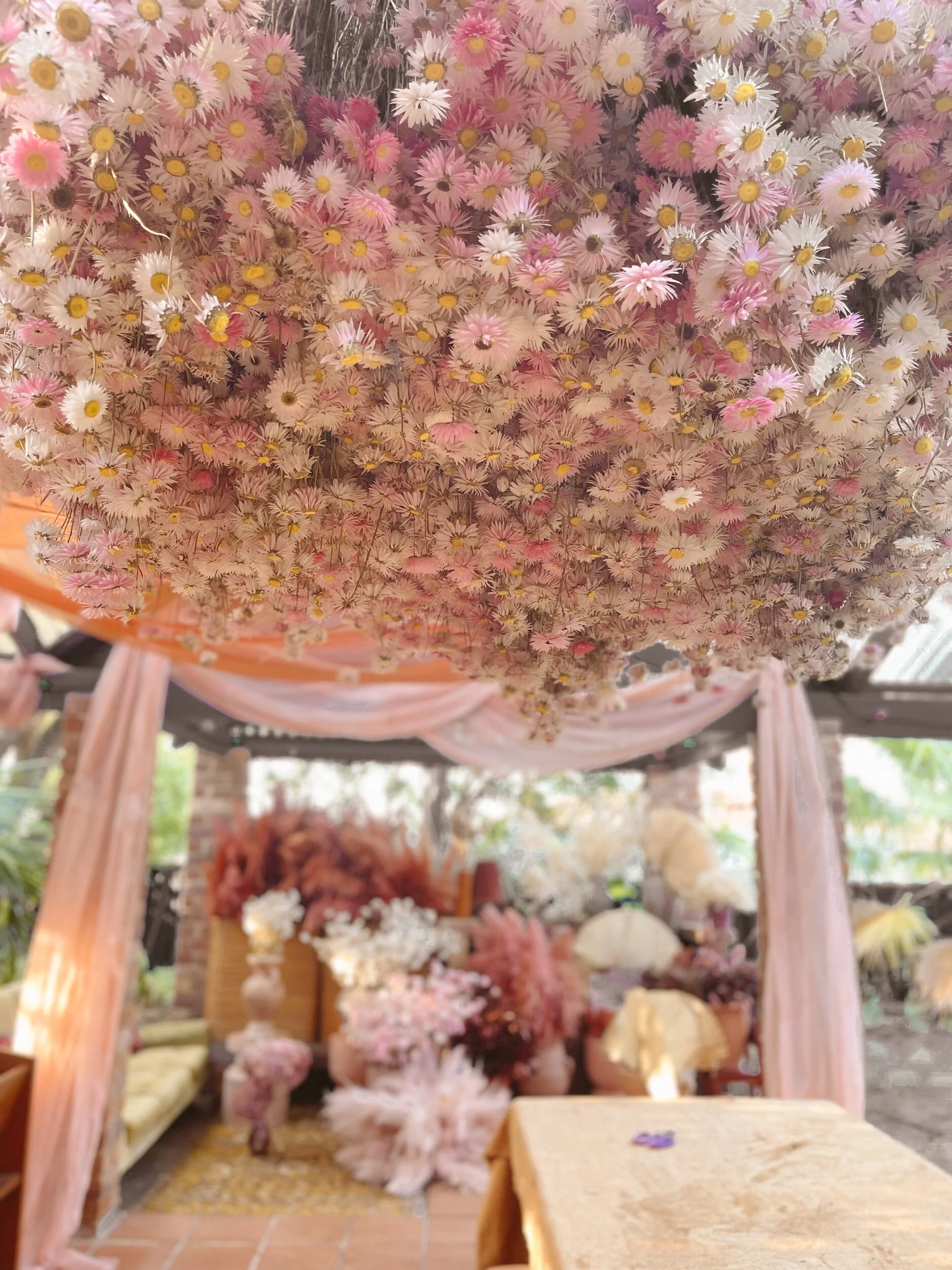 52006B97-9EDF-4148-8CB7-2DEA5B10FD16