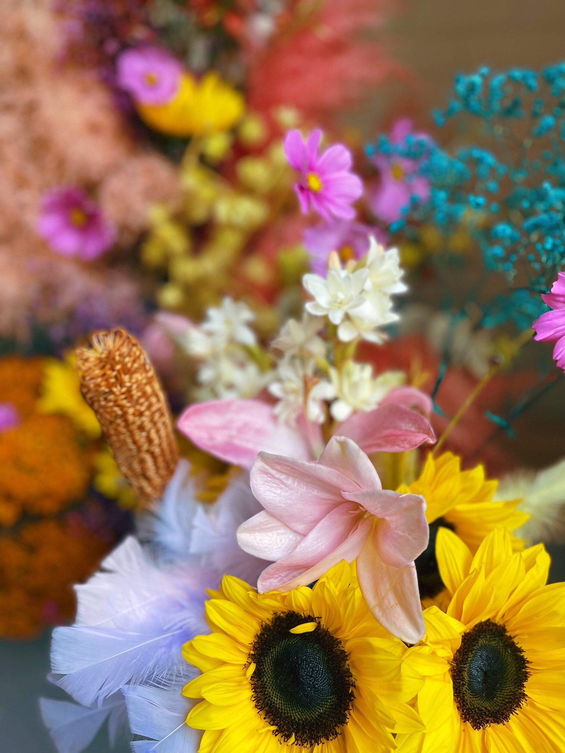 254207F8-352D-4412-8B57-17D2AC0F10F0