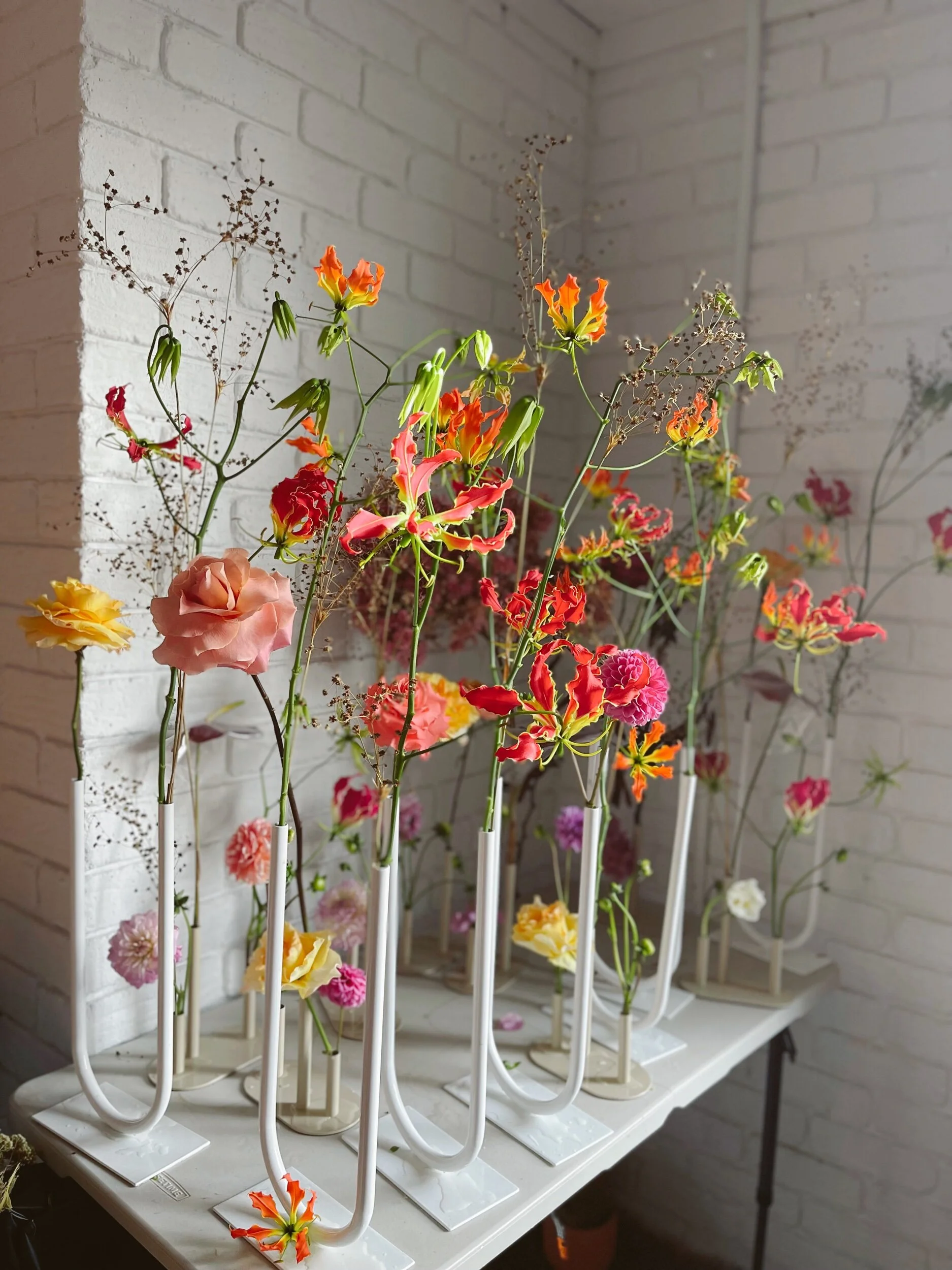 55DF242B-7AF9-49BB-BA77-FFE82CBAB334