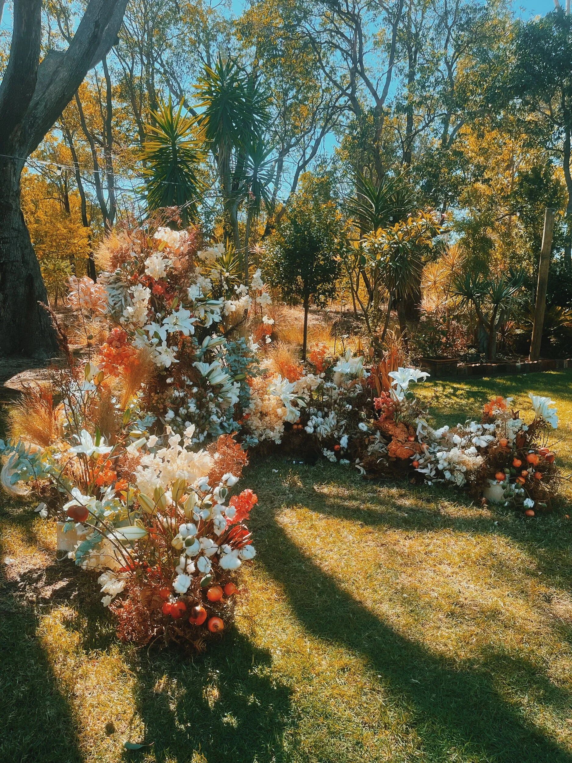 E51904D2-23BF-42B8-BBE9-9954AFD44344