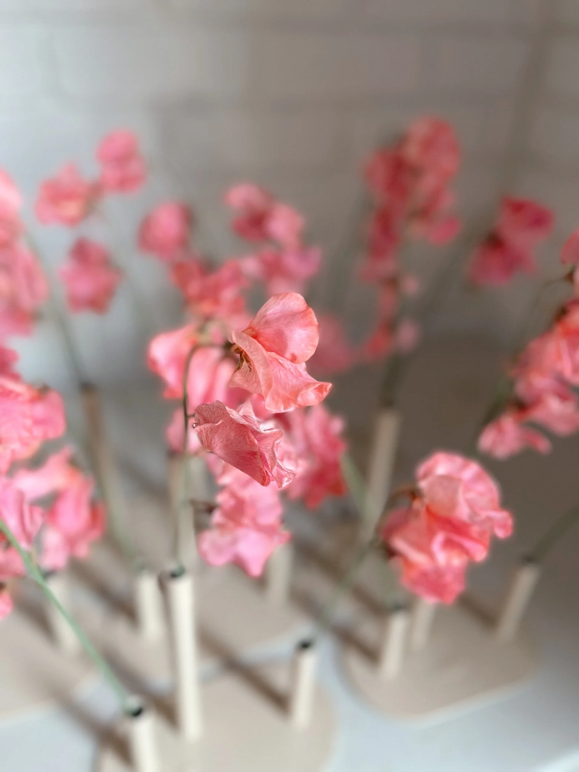 68FB3AD2-7E21-4D10-9E8E-DBCF5C0D9664