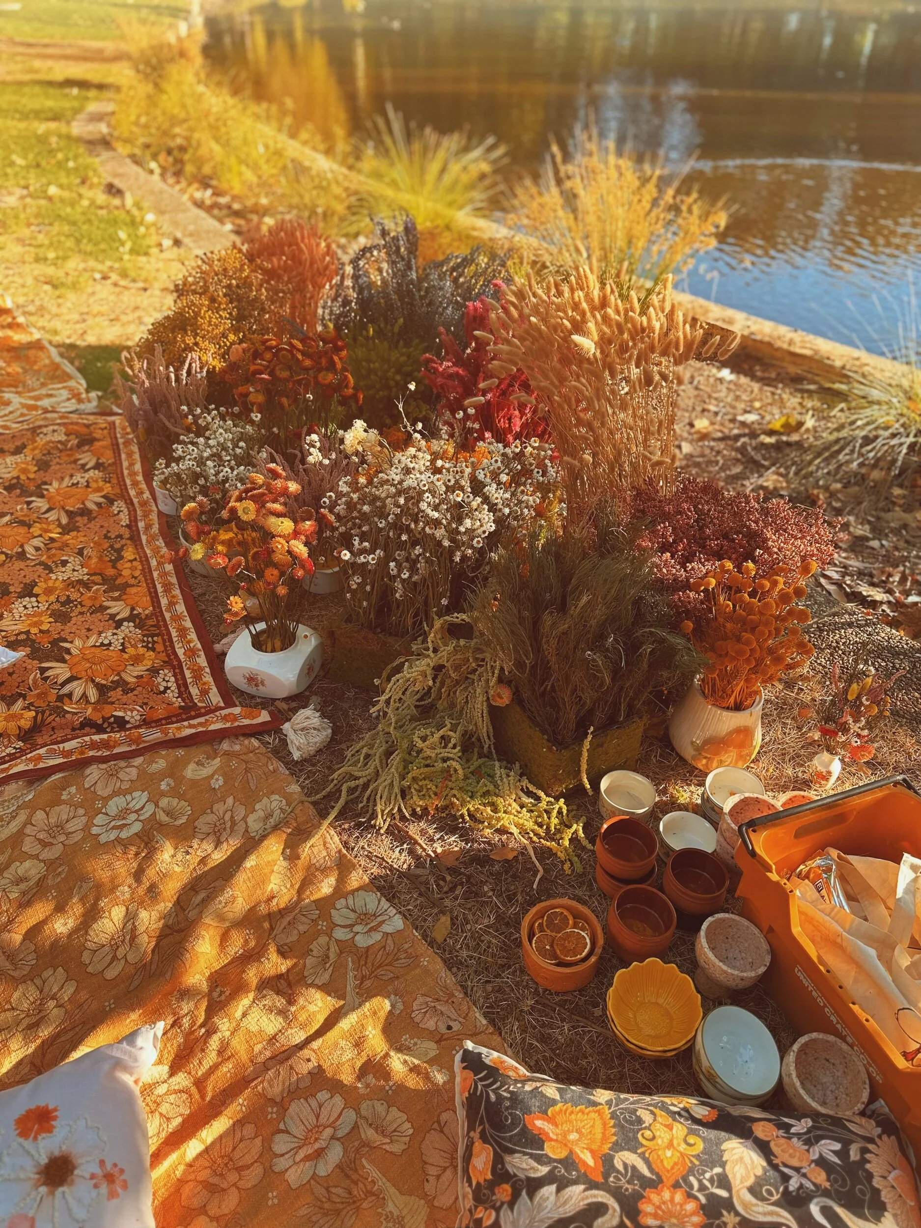 DC97132B-2C8D-4A8C-908D-1BF2D2868F55