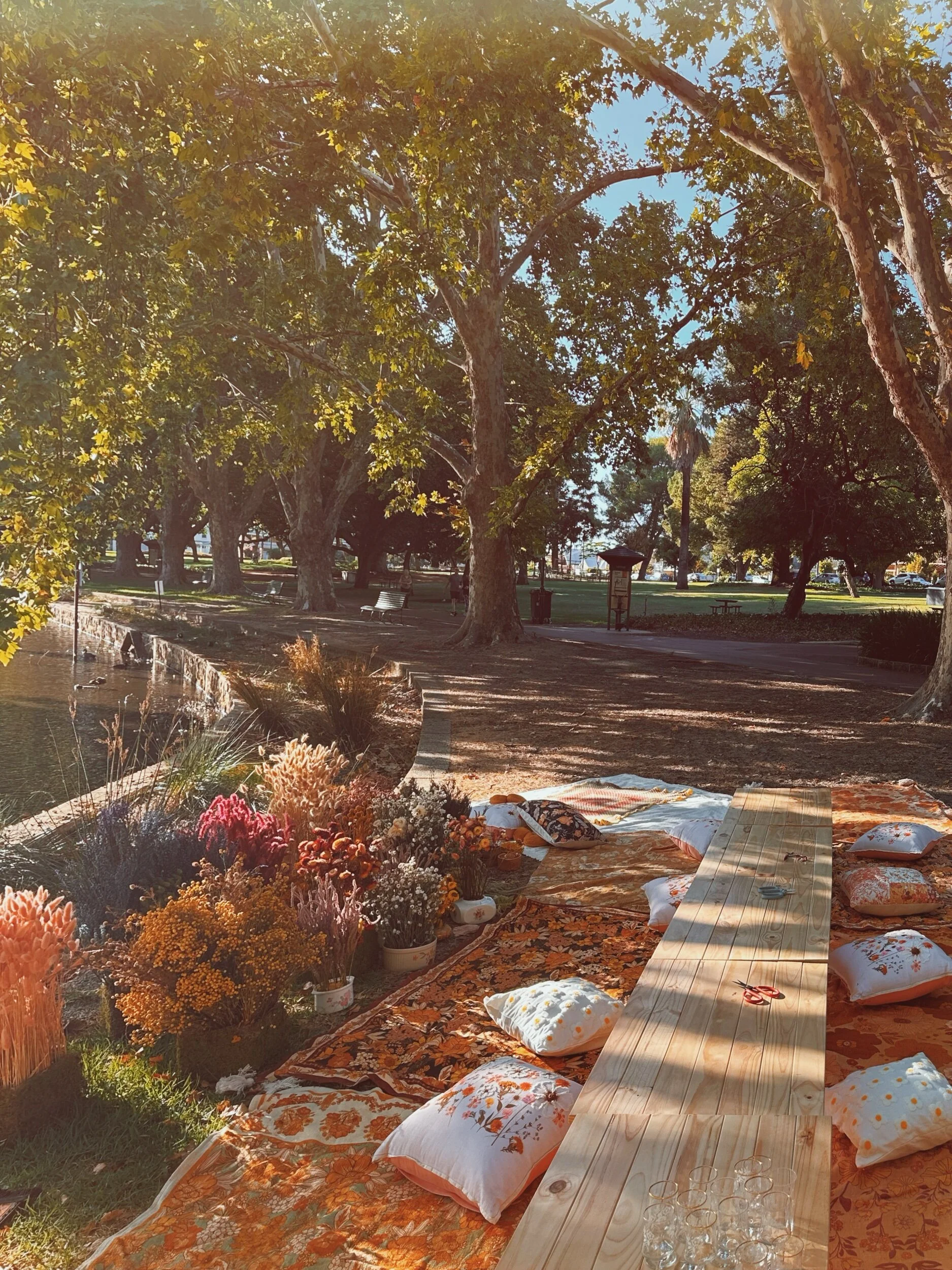 660F1468-D1F1-4815-9C87-907F03F9E1F3