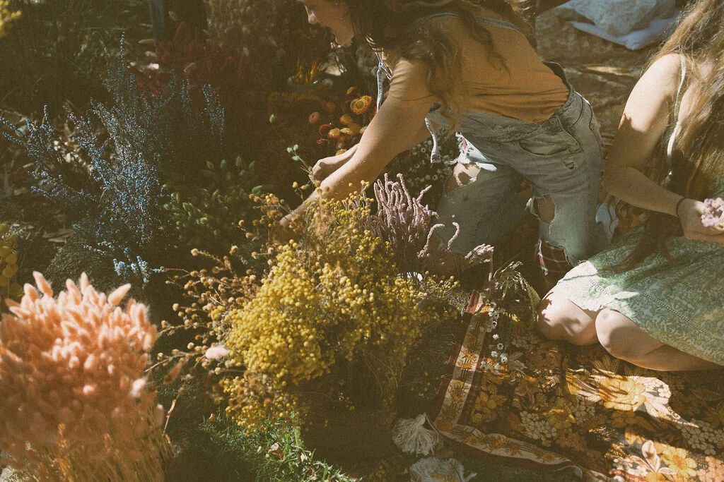 FC668E93-454B-43CA-98D6-6CE8D127F044