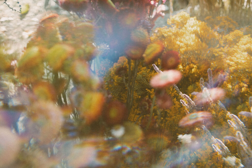 79C962AA-AF13-4F25-9D26-B93B06863997